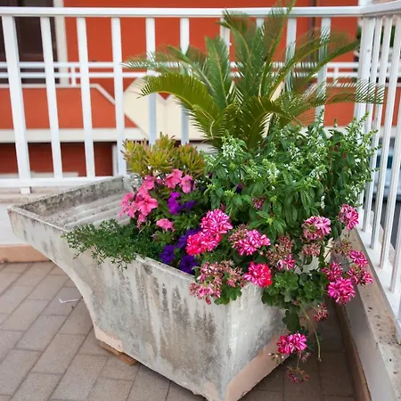 Casa Degli Avi,da Zio Nino Nel Borgo Marinaro Casa vacanze *